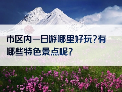 市区内一日游哪里好玩？有哪些特色景点呢？