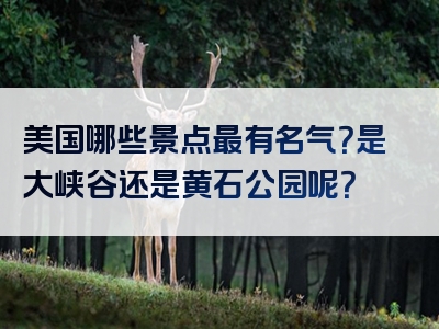 美国哪些景点最有名气？是大峡谷还是黄石公园呢？