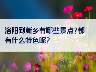 洛阳到新乡有哪些景点？都有什么特色呢？