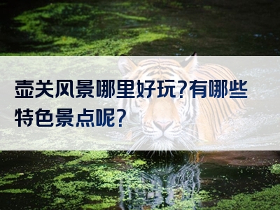 壶关风景哪里好玩？有哪些特色景点呢？