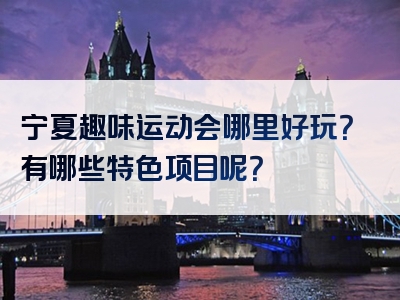 宁夏趣味运动会哪里好玩？有哪些特色项目呢？