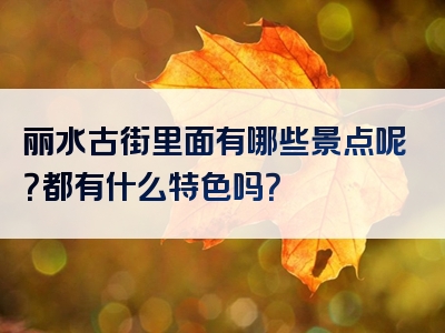 丽水古街里面有哪些景点呢？都有什么特色吗？