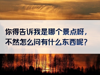 你得告诉我是哪个景点呀，不然怎么问有什么东西呢？