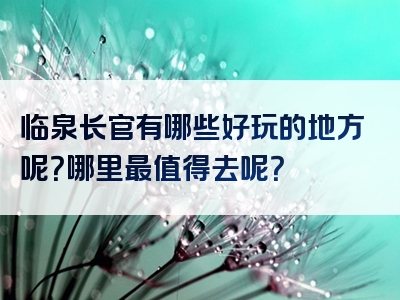 临泉长官有哪些好玩的地方呢？哪里最值得去呢？