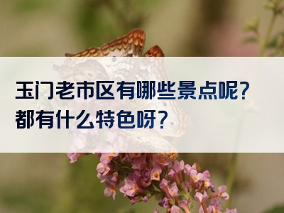 玉门老市区有哪些景点呢？都有什么特色呀？