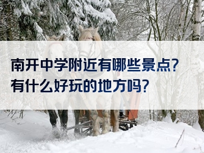 南开中学附近有哪些景点？有什么好玩的地方吗？