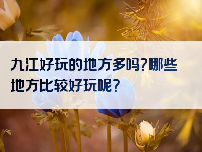 九江好玩的地方多吗？哪些地方比较好玩呢？