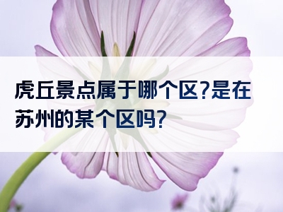 虎丘景点属于哪个区？是在苏州的某个区吗？