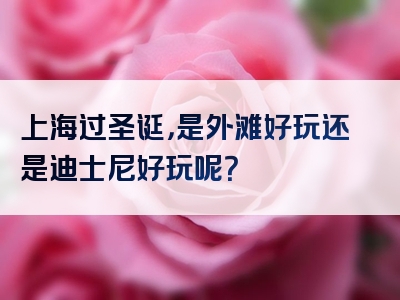 上海过圣诞，是外滩好玩还是迪士尼好玩呢？