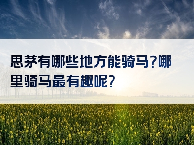 思茅有哪些地方能骑马？哪里骑马最有趣呢？