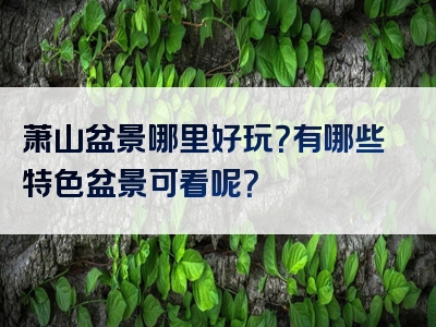 萧山盆景哪里好玩？有哪些特色盆景可看呢？