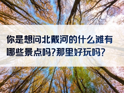 你是想问北戴河的什么滩有哪些景点吗？那里好玩吗？