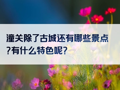 潼关除了古城还有哪些景点？有什么特色呢？