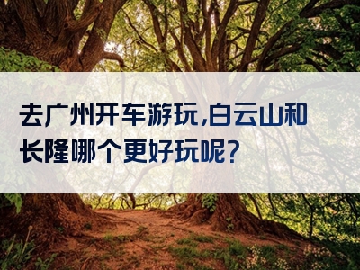 去广州开车游玩，白云山和长隆哪个更好玩呢？