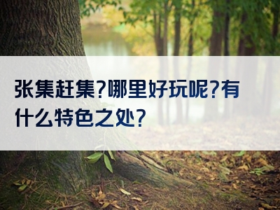 张集赶集？哪里好玩呢？有什么特色之处？