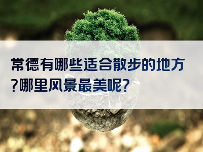 常德有哪些适合散步的地方？哪里风景最美呢？