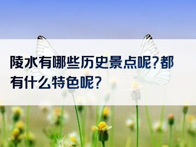 陵水有哪些历史景点呢？都有什么特色呢？