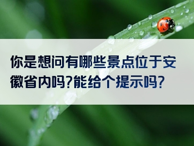 你是想问有哪些景点位于安徽省内吗？能给个提示吗？