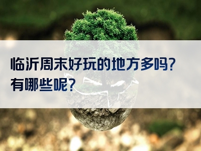 临沂周末好玩的地方多吗？有哪些呢？