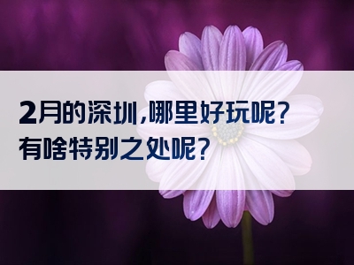 2月的深圳，哪里好玩呢？有啥特别之处呢？