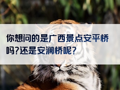 你想问的是广西景点安平桥吗？还是安澜桥呢？