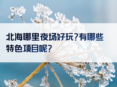 北海哪里夜场好玩？有哪些特色项目呢？