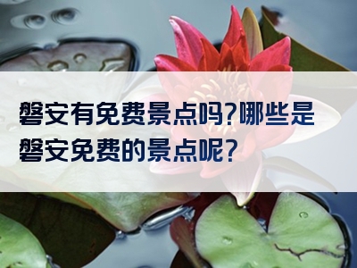 磐安有免费景点吗？哪些是磐安免费的景点呢？