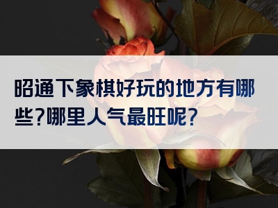 昭通下象棋好玩的地方有哪些？哪里人气最旺呢？