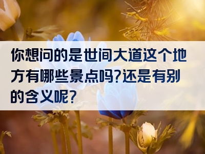 你想问的是世间大道这个地方有哪些景点吗？还是有别的含义呢？