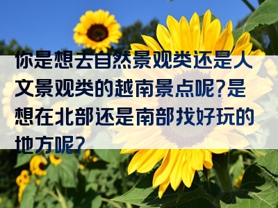 你是想去自然景观类还是人文景观类的越南景点呢？是想在北部还是南部找好玩的地方呢？