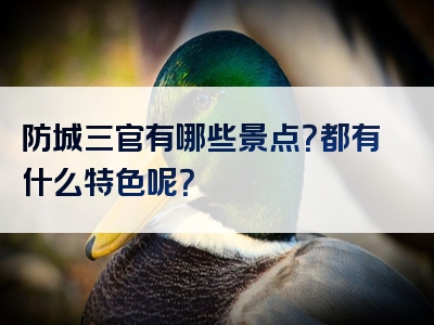 防城三官有哪些景点？都有什么特色呢？