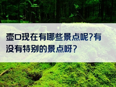 壶口现在有哪些景点呢？有没有特别的景点呀？