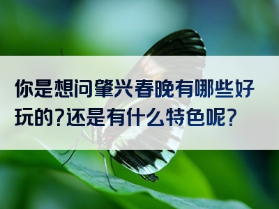 你是想问肇兴春晚有哪些好玩的？还是有什么特色呢？