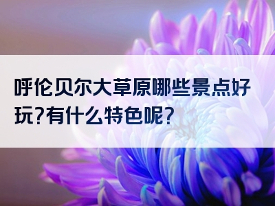 呼伦贝尔大草原哪些景点好玩？有什么特色呢？