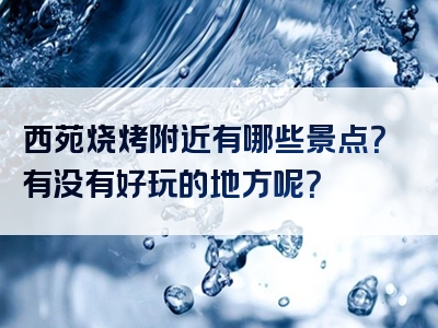 西苑烧烤附近有哪些景点？有没有好玩的地方呢？