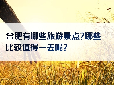 合肥有哪些旅游景点？哪些比较值得一去呢？