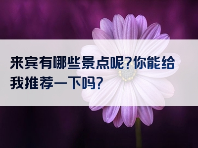 来宾有哪些景点呢？你能给我推荐一下吗？