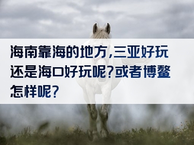 海南靠海的地方，三亚好玩还是海口好玩呢？或者博鳌怎样呢？