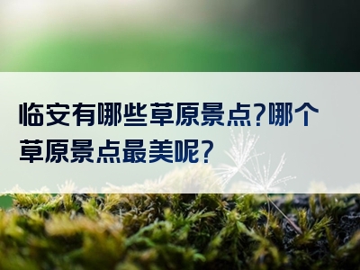 临安有哪些草原景点？哪个草原景点最美呢？