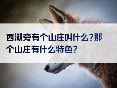 西湖旁有个山庄叫什么？那个山庄有什么特色？