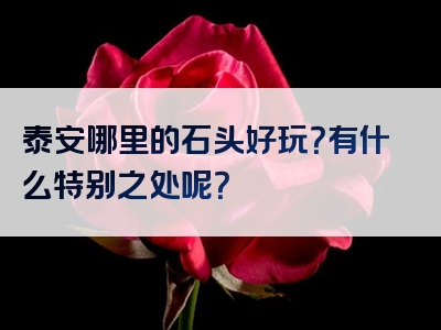 泰安哪里的石头好玩？有什么特别之处呢？