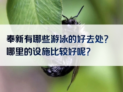 奉新有哪些游泳的好去处？哪里的设施比较好呢？