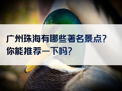 广州珠海有哪些著名景点？你能推荐一下吗？