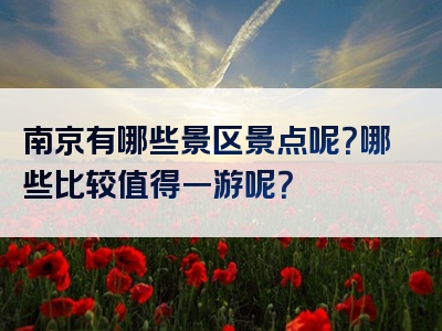 南京有哪些景区景点呢？哪些比较值得一游呢？