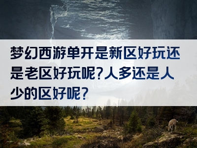 梦幻西游单开是新区好玩还是老区好玩呢？人多还是人少的区好呢？