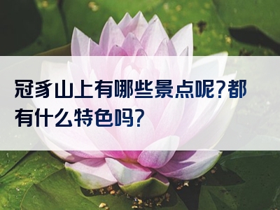 冠豸山上有哪些景点呢？都有什么特色吗？