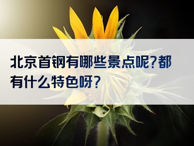 北京首钢有哪些景点呢？都有什么特色呀？