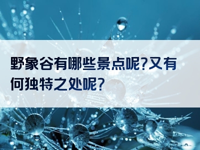 野象谷有哪些景点呢？又有何独特之处呢？