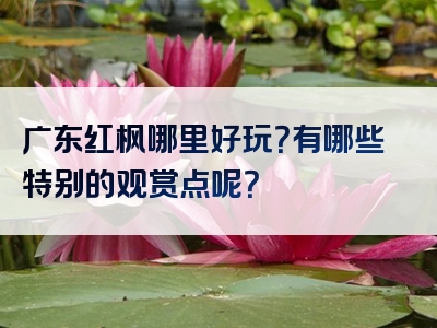 广东红枫哪里好玩？有哪些特别的观赏点呢？