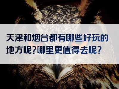 天津和烟台都有哪些好玩的地方呢？哪里更值得去呢？